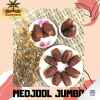 Kurma Medjool Jumbo Fresh Premium Food Zannubia