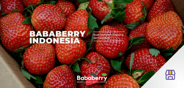 Bababerry Indonesia