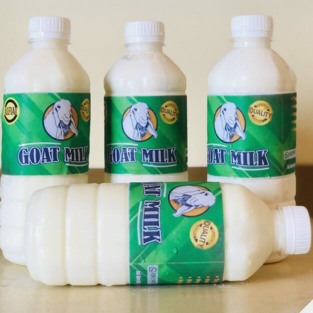 Alfiat Goat Milk