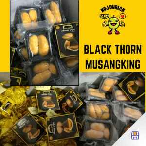 Durian Musang King Black Thorn/Ochee/Duri Hitam