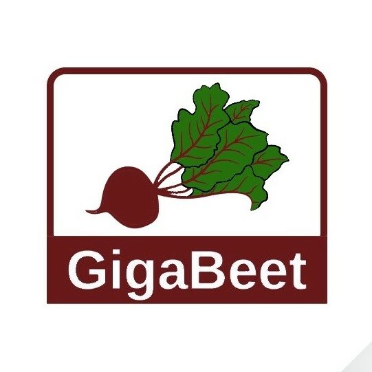 GigaBeet