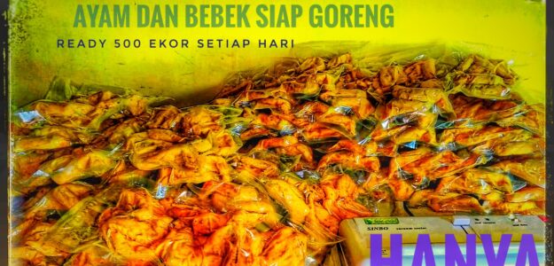 PRODUSEN BEBEK UNGKEP