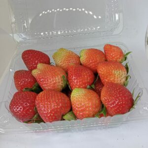 strawberry 250gram - keluargaberry.id