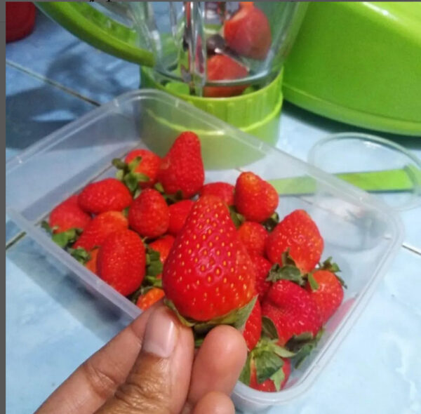 Strawberry Fresh Kellt Bright