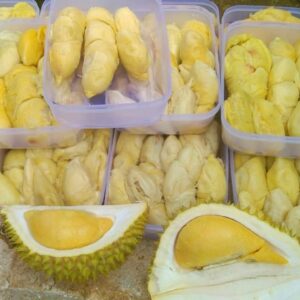 fillet durian - supplier durianmu