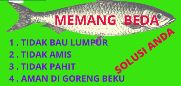 BANDENG PRESTO HAWWIN (TIDAK BAU LUMPUR/AMIS )