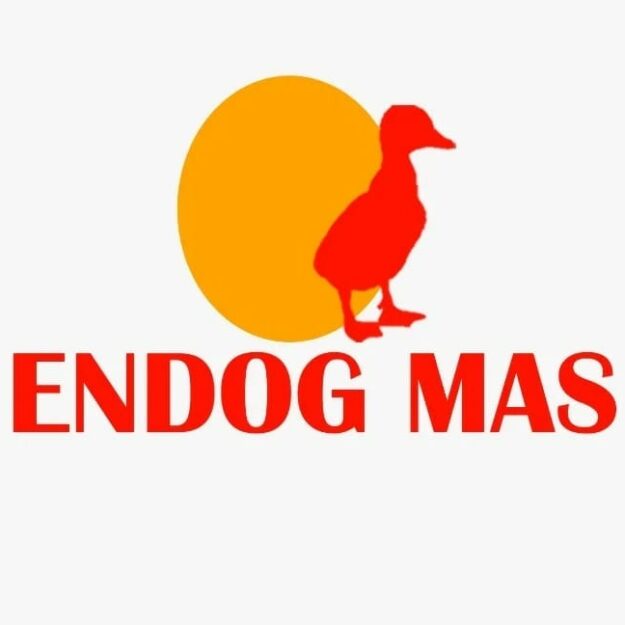 Endog Mas